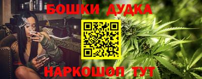 крисы Ипатово