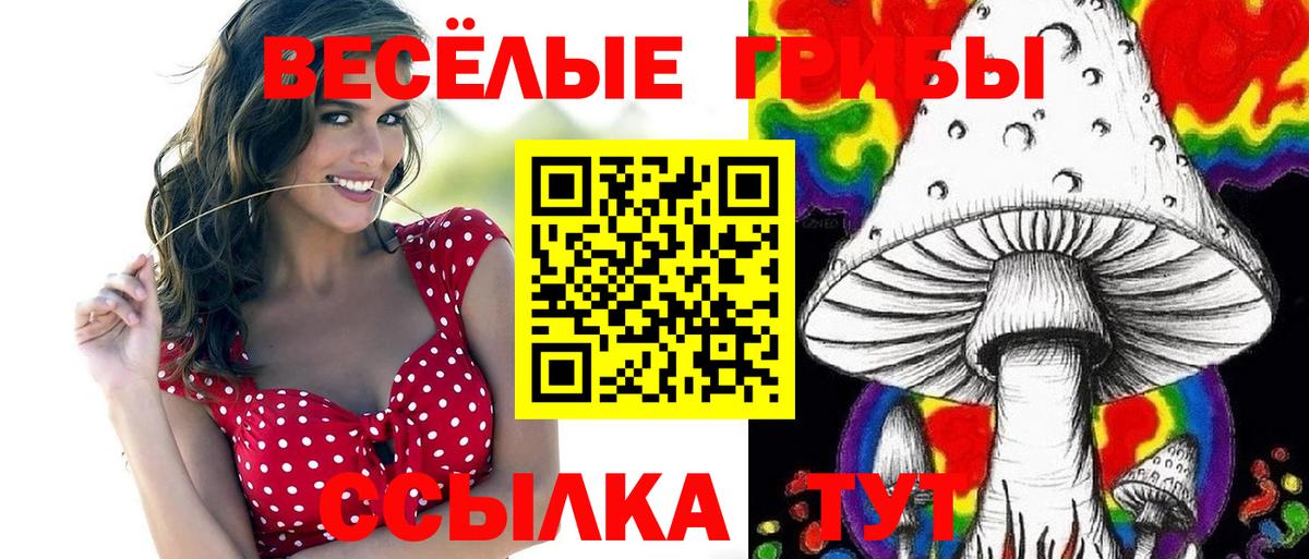 Галлюциногенные грибы ЛСД  Вход с VPN  Псилоцибиновые грибы MAGIC MUSHROOMS  Курчатов 