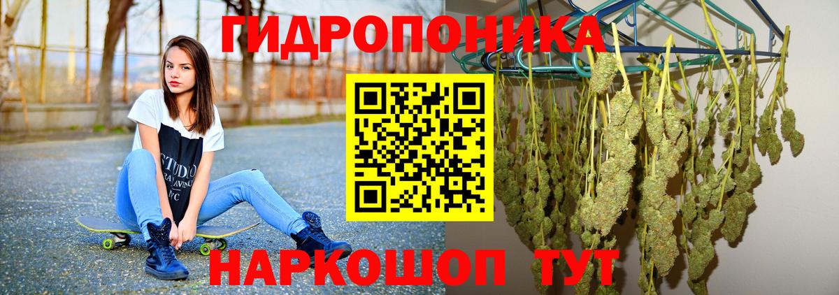 МАРИХУАНА план Курчатов